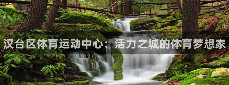 球王会体育：汉台区体育运动中心：活力之城的体育梦想家