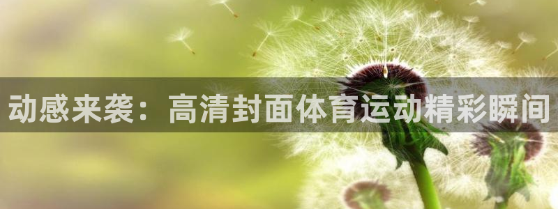 球王会体育：动感来袭：高清封面体育运动精彩瞬间