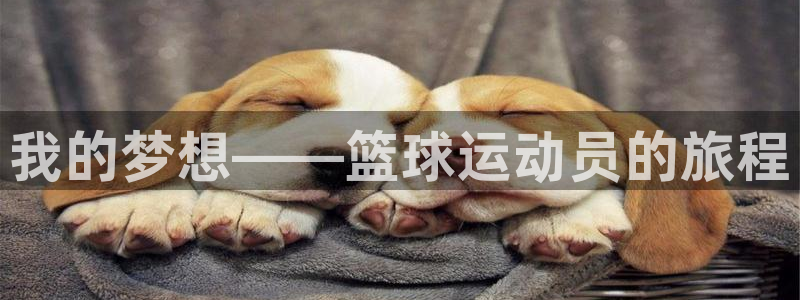 球王会体育：我的梦想——篮球运动员的旅程