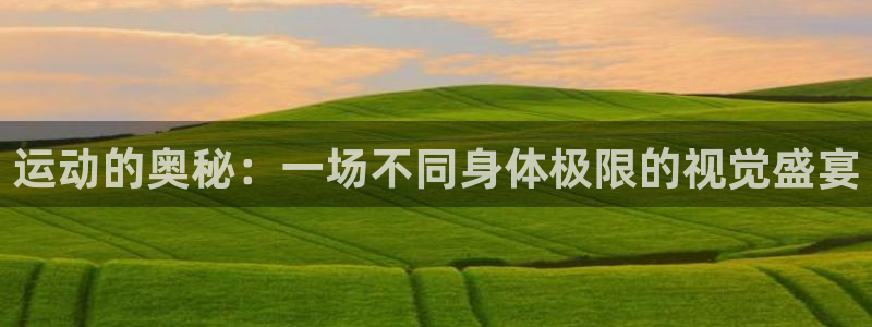 球王会体育：运动的奥秘：一场不同身体极限的视觉盛宴