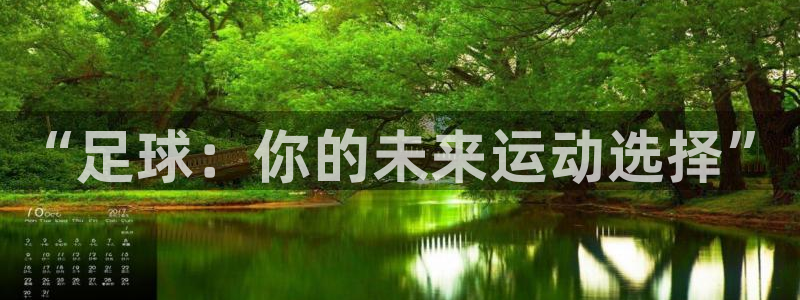 球王会体育：“足球：你的未来运动选择”