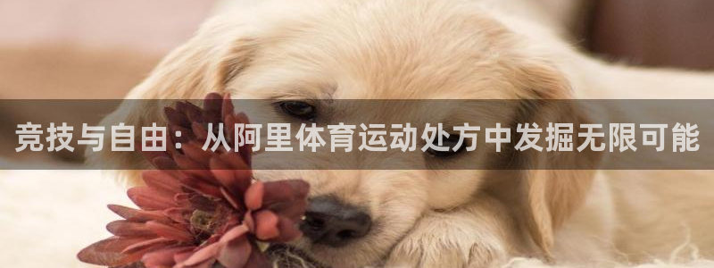 球王会体育：竞技与自由：从阿里体育运动处方中发掘无限可能