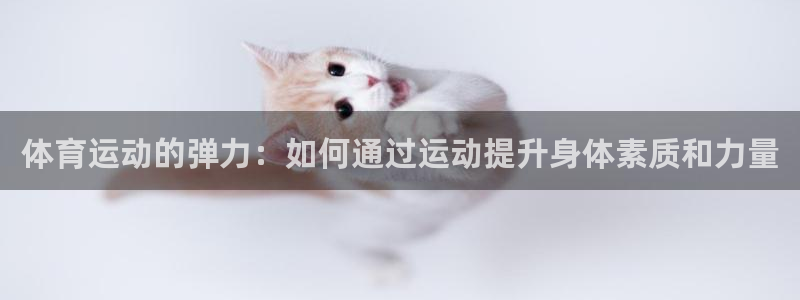 球王会体育：体育运动的弹力：如何通过运动提升身体素质和力量