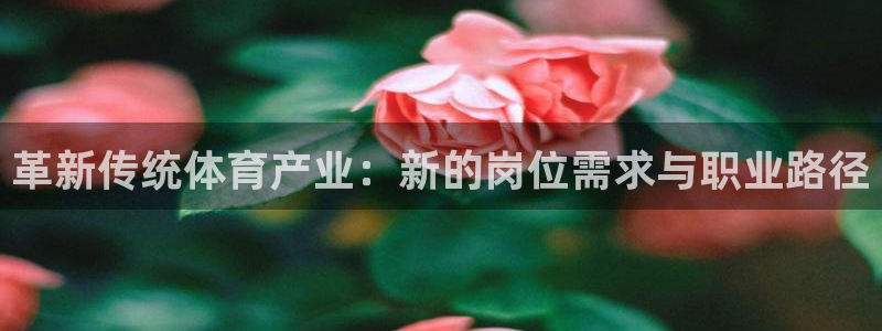 球王会体育：革新传统体育产业：新的岗位需求与职业路径