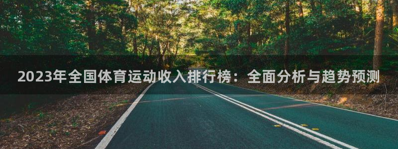 球王会体育：2023年全国体育运动收入排行榜：全面分析与趋势预测