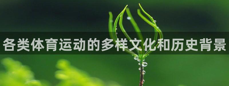 球王会体育：各类体育运动的多样文化和历史背景